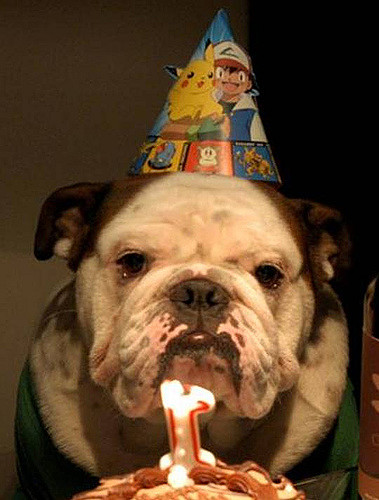 ¿"Felicidades"?, ¿por qué, qué hice de bueno?