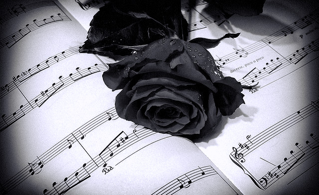 La vida en conjunto es una melodía, nosotros somos sus notas.
