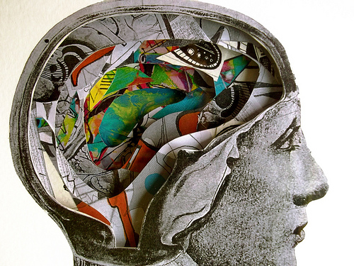 La psicología estudia el comportamiento y pensamiento humano, en otras palabras, responde a la pregunta de ¿porqué jodidos hacemos lo que hacemos?